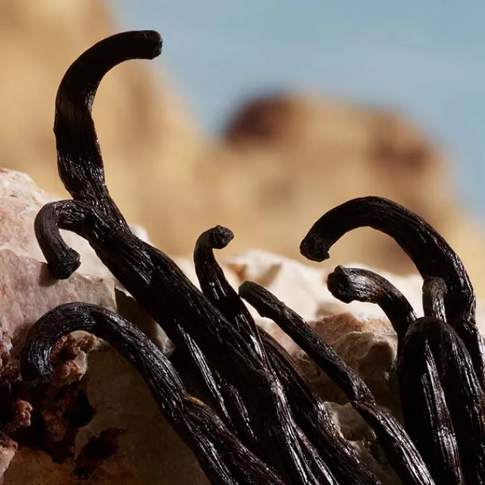 Mujer DOLCE & GABBANA Q BY PARFUM