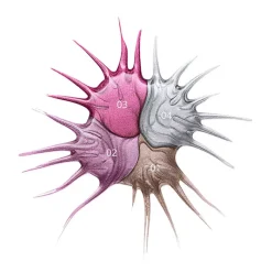 Essence Satin Chrome Esmalte de Uñas