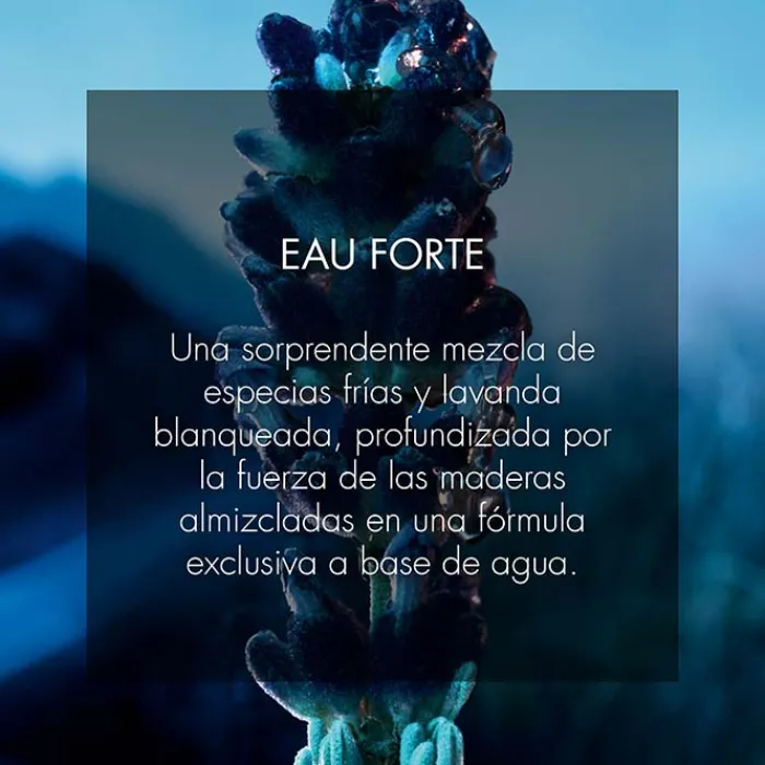 Hombre Dior SAUVAGE EAU FORTE