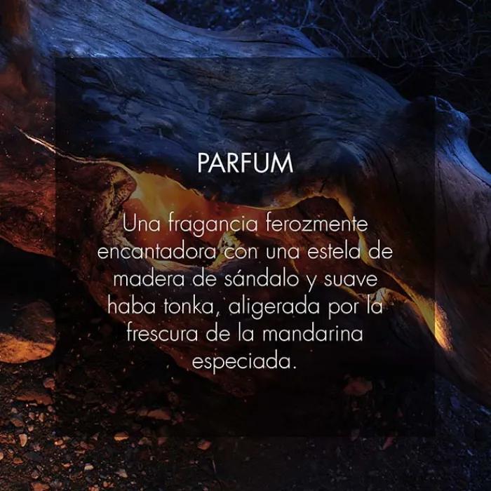 Hombre Dior SAUVAGE PARFUM