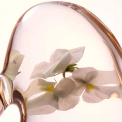 LANCASTER Softening Perfecting Toner