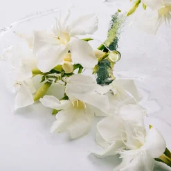 Hombre LOEWE SOLO ATLAS