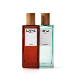Hombre LOEWE SOLO CEDRO