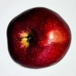 Mujer LOEWE SOLO ELLA Cofre