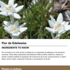 Bella Aurora SPLENDOR 60 Tratamiento Redensificante Día