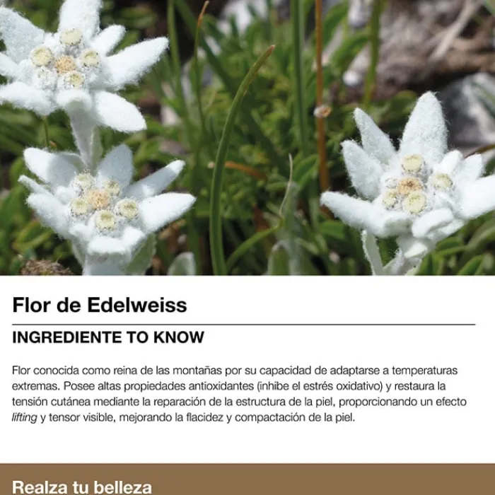 Bella Aurora SPLENDOR 60 Tratamiento Redensificante Día