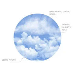 Don Algodón Spray Tejido Clásico