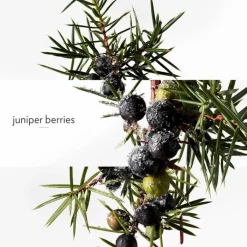 Hombre HERMÈS Terre d'Hermès Eau Givrée