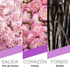 Mujer Prêt à Porter Tokyo