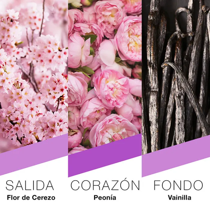 Mujer Prêt à Porter Tokyo