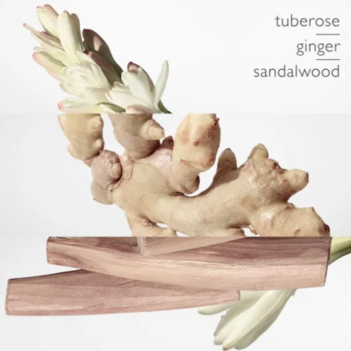 Mujer HERMÈS Twilly d'Hermès