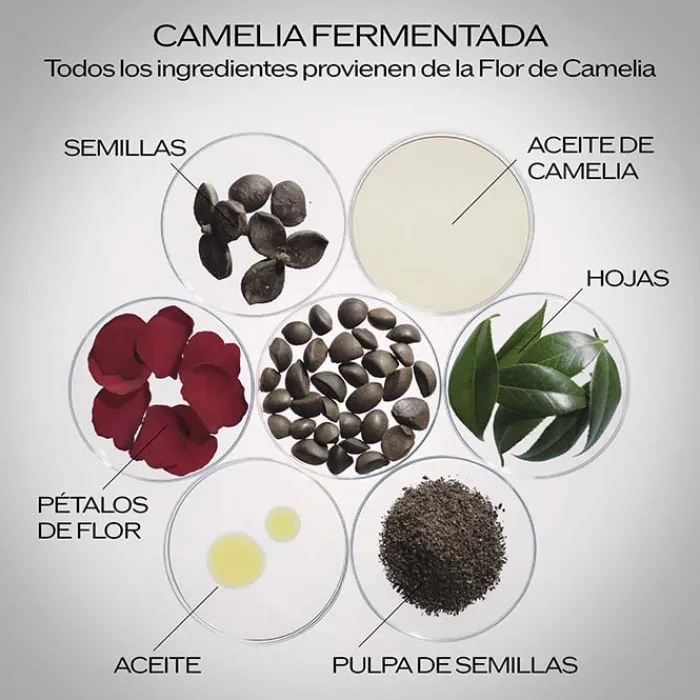 SHISEIDO Ultimune Power Infusing Serum 4.0