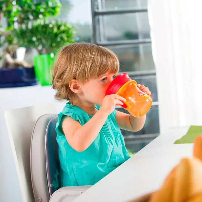 Chicco Vaso Evolutivo Perfect 360º Mix&Match 12 Meses+