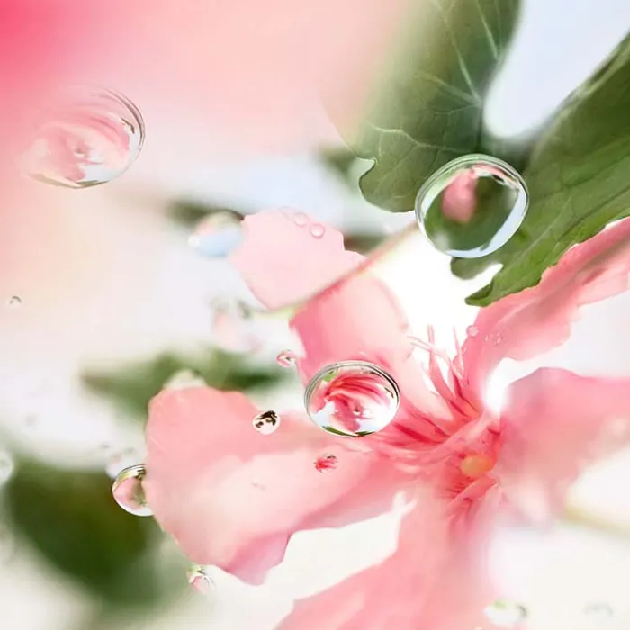 Mujer LANCÔME ÔVER THE TOP