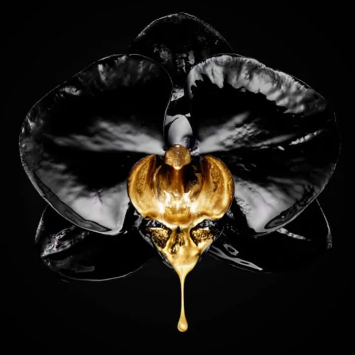 L'Oréal Volume Million Lashes Waterproof