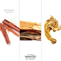 Hombre AZZARO Wanted by Night