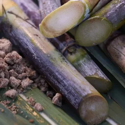 SHISEIDO Waso Satocane Pore Purifiying Scrub Mask