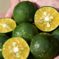 SHISEIDO Waso Shikulime Gel-to-Oil Cleanser