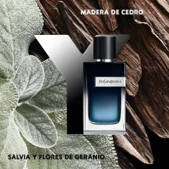 Hombre YVES SAINT LAURENT Y MEN EDP