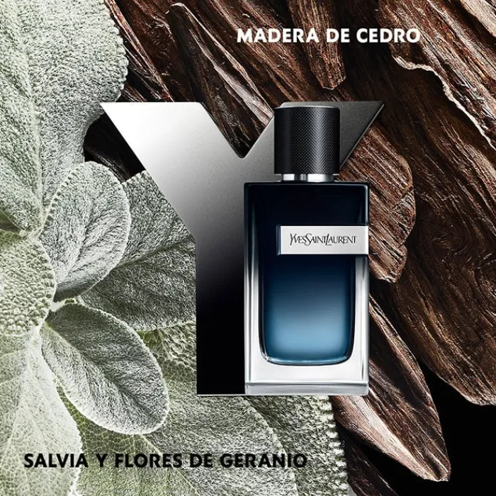 Hombre YVES SAINT LAURENT Y MEN EDP