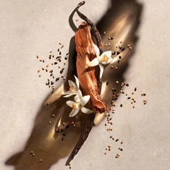 Mujer ZADIG & VOLTAIRE Zadig