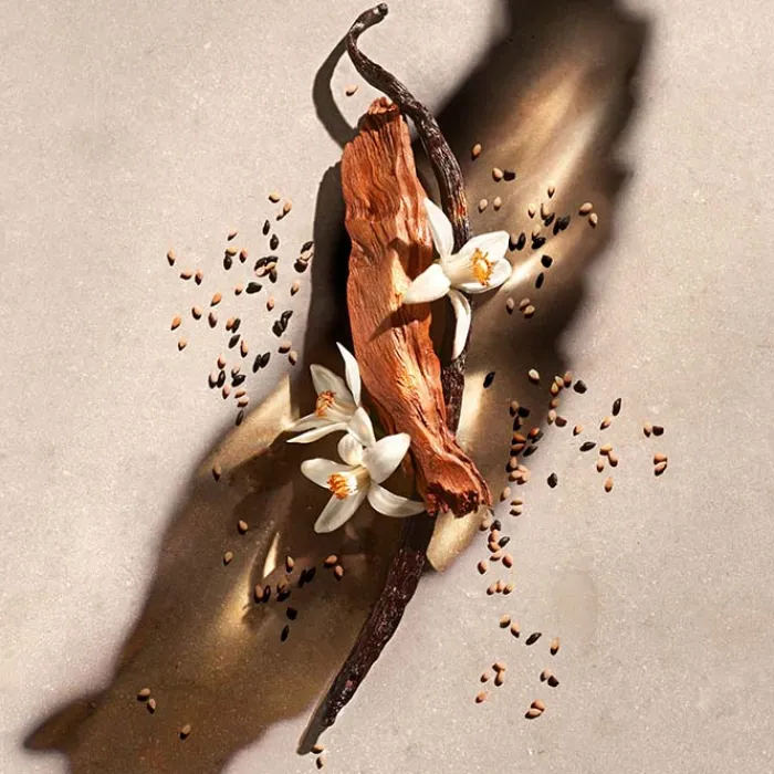 Mujer ZADIG & VOLTAIRE Zadig